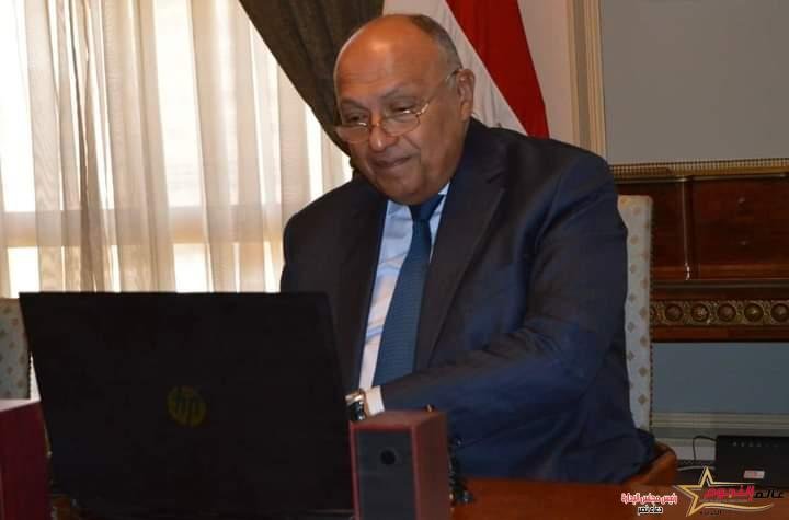 شكري يجري اتصالاً مرئياً مع نظيرته التنزانية