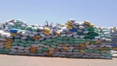 محافظ الشرقية : إنتظام توريد الأقماح وإستقبال ٦١٨٥٤٠ طن و ٢٥٤ كيلو من الذهب الأصفر بشون وصوامع المحافظة