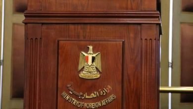 الوفود المشاركة بمنحة ناصر للقيادة الدولية في زيارة لمقر وزارة الخارجية المصرية 