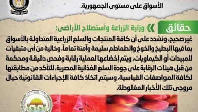 "الزراعة" تنفي انتشار أنواع بطيخ وخوخ وطماطم مسممة بمختلف الأسواق على مستوى الجمهورية