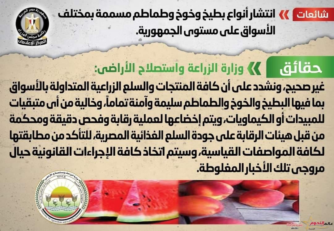 "الزراعة" تنفي انتشار أنواع بطيخ وخوخ وطماطم مسممة بمختلف الأسواق على مستوى الجمهورية