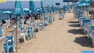 محافظ الإسكندرية يطالب الجهات التنفيذية بالمحافظة بضرورة تفعيل الخدمات الإلكترونية تسهيلا على المواطنين