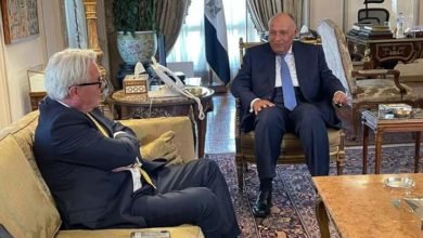 شكري يستقبل المبعوث الأممي لعملية السلام في الشرق الأوسط