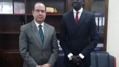السفير المصري في جوبا يلتقي وزير البترول الجنوب سوداني