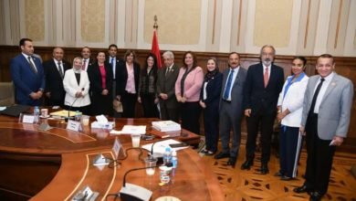 وزيرة التعاون الدولي تلتقي أعضاء لجنة الشئون الخارجية والعربية والأفريقية بمجلس الشيوخ