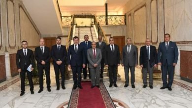 مرسي يستقبل"وزير التكنولوجيا والصناعة المجري" لبحث أوجه التعاون المشترك