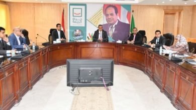 محافظ الفيوم يتابع توصيل المرافق لمصنع "يازاكي" لتصنيع ضفائر السيارات الكهربائية
