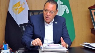 محافظ الشرقية يتابع إنتظام عملية توريد القمح لصوامع وشون الشرقية