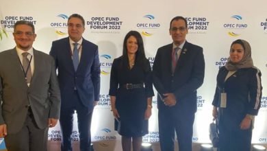 مناقشة تعزيز التعاون بين بلدان الجنوب ونقل الخبرات المصرية لأفريقيا مع المصرف العربي للتنمية في أفريقيا