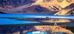 محمد كامل الباز يكتب... أرض الأحلام