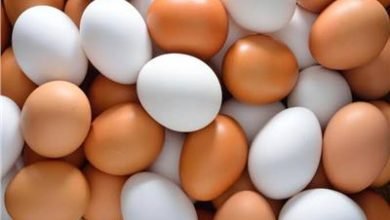 إنخفاض أسعار البيض اليوم الأحد 24 يوليو