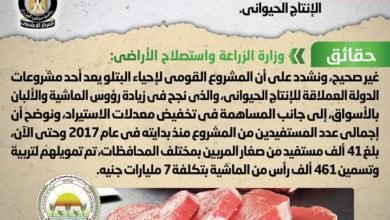 شائعة: فشل المشروع القومي لإحياء البتلو في زيادة الإنتاج الحيواني