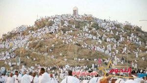 وزارة السياحة: بدء تصعيد حجاج السياحة على عرفات لتسكينهم بالمخيمات بعد الانتهاء من تفقدها 2 وزارة السياحة: بدء تصعيد حجاج السياحة على عرفات لتسكينهم بالمخيمات بعد الانتهاء من تفقدها