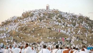 وزارة السياحة: بدء تصعيد حجاج السياحة على عرفات لتسكينهم بالمخيمات بعد الانتهاء من تفقدها