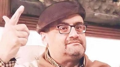 "الإسكندرية السينمائي" يطلق اسم الإعلامي حافظ هريدي على المركز الصحفي