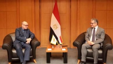 العناني يستقبل سفير قبرص بالقاهرة قبيل أنتهاء فترة توليه مهام منصبه كسفير لبلاده في القاهرة