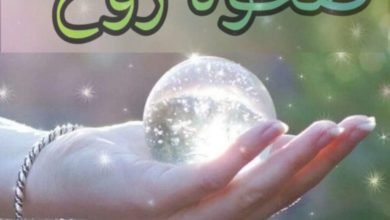 صحوة روح … بقلم : د. عبير منطاش