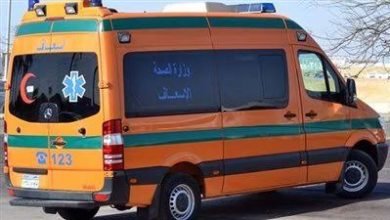 مصرع شخصان و أصابة 8 آخرون في حادث انقلاب ميكروباص على طريق أسوان
