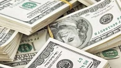 سعر الدولار في مصر اليوم الأربعاء 27-7-2022