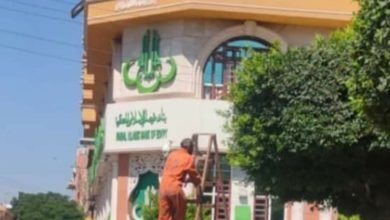 جهاز التطوير و التجميل يواصل أعماله في شوارع و ميادين الإسماعيلية استعدادًا لعيدِ الأضحى المُبارك 