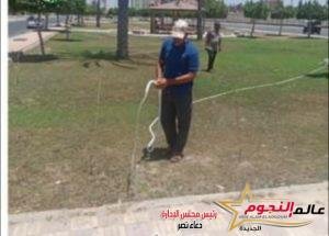استمرار أعمال النظافة العامة و التطوير و التجميل بالقنطرة شرق 