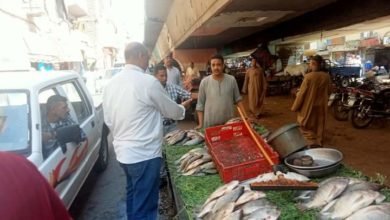 شن حملات بيئية دورية للحفاظ على البيئة وصحة وسلامة المواطنين بمحافظة الأقصر