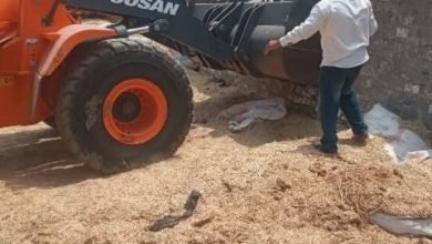 الأجهزة التنفيذية والأمنية تُنفذ حملة مكبرة لإزالة التعديات على أراضي أملاك الدولة بنطاق مركز ومدينة الحسينية