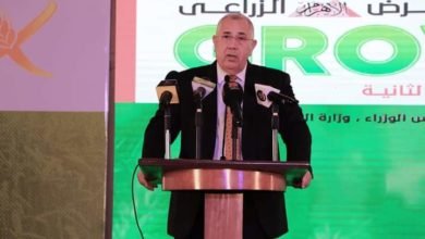 القصير : قطاع الزراعة في مصر شهد نهضة ودعم غير مسبوق من القيادة السياسية   