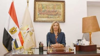 الأربعاء .. انطلاق فعاليات الدورة 30 من مهرجان قلعة صلاح الدين الدولى للموسيقى والغناء