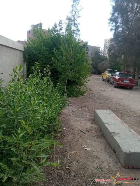 حملات تشجير موسعة على جانبي الطرق والشوارع الرئيسية بمختلف مراكز ومدن محافظة الشرقية 2 حملات تشجير موسعة على جانبي الطرق والشوارع الرئيسية بمختلف مراكز ومدن محافظة الشرقية