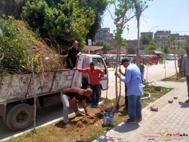 حملات تشجير موسعة على جانبي الطرق والشوارع الرئيسية بمختلف مراكز ومدن محافظة الشرقية 4 حملات تشجير موسعة على جانبي الطرق والشوارع الرئيسية بمختلف مراكز ومدن محافظة الشرقية