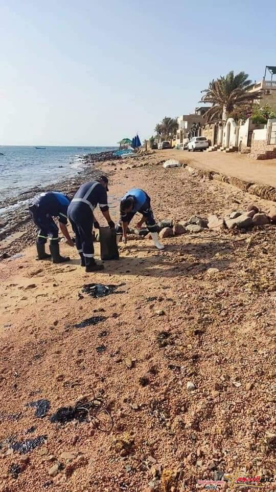 وزيرة البيئة : إنتهاء أعمال مكافحة التلوث الزيتى بعدد من شواطئ مدينة دهب 2 وزيرة البيئة : إنتهاء أعمال مكافحة التلوث الزيتى بعدد من شواطئ مدينة دهب