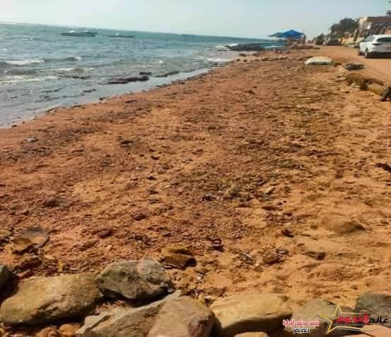 وزيرة البيئة : إنتهاء أعمال مكافحة التلوث الزيتى بعدد من شواطئ مدينة دهب 3 وزيرة البيئة : إنتهاء أعمال مكافحة التلوث الزيتى بعدد من شواطئ مدينة دهب