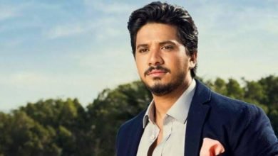 مصطفى حجاج نجم حفل مهرجان القلعة … اليوم