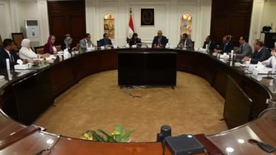 وزيرا الإسكان والهجرة يبحثان سبل التعاون المشترك لإتاحة فرص الاستثمار العقارى للمصريين بالخارج