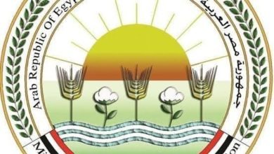 القصير: إعطاء أكثر من 3.3 مليون جرعة ضد مرضى الحمي القلاعية وحمى الوادي المتصدع في إطار مبادرة حياة كريمة
