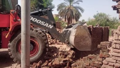 إزالة التعديات على الأراضى الزراعية وأملاك الدولة ومخالفات البناء بمحافظة الأقصر