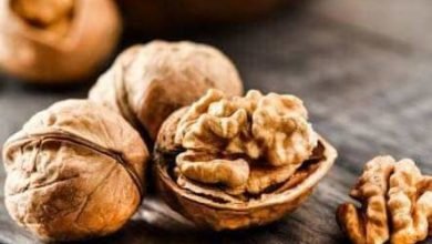 عين الجمل "الجوز " وفوائده المذهلة للصحة