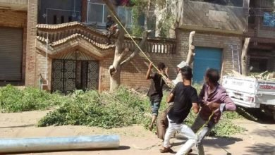 طوارئ كهرباء القليوبية لتطوير شبكة الكهرباء بشبين القناطر تحت مبادرة حياة كريمة 