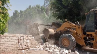 محافظ أسيوط: إزالة 43 حالة تعدي ومخالفات بناء بحي شرق ومركزي البداري وأبنوب
