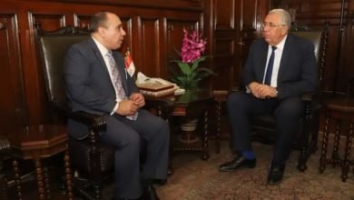 القصير يستقبل سفير مصر الجديد لدى كينيا 