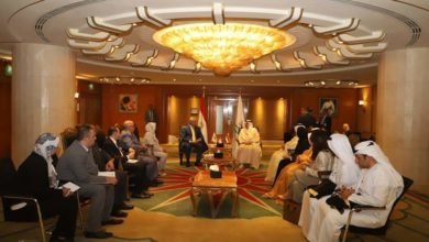 وزير القوى العاملة يلتقي نظيره الاماراتي لتنسيق التعاون في القضايا المشتركة بين البلدين