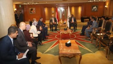 وزير القوى العاملة يلتقي بنظيره الصومالي :حريصون على تقديم الدعم للشركاء الاجتماعيين في قارة أفريقيا