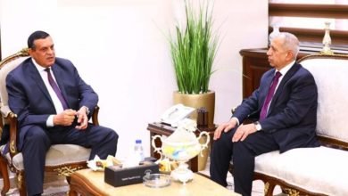 وزير التنمية المحلية يستقبل رئيس الأكاديمية العربية للعلوم والتكنولوجيا