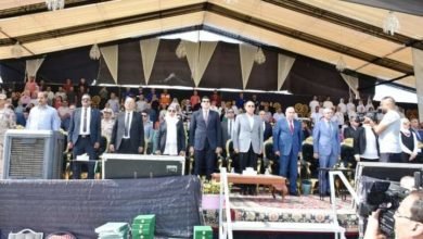 محافظ الشرقية يفتتح مهرجان الخيول العربية الأصيلة في دورته الــ 26 بأرض الفروسية بمدينة بلبيس
