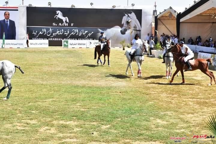 محافظ الشرقية يفتتح مهرجان الخيول العربية الأصيلة في دورته الــ 26 بأرض الفروسية بمدينة بلبيس 6 محافظ الشرقية يفتتح مهرجان الخيول العربية الأصيلة في دورته الــ 26 بأرض الفروسية بمدينة بلبيس