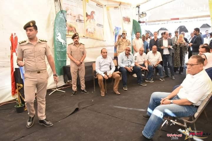 محافظ الشرقية يُعلن انطلاق فعاليات اليوم الثاني والأخير لمهرجان الشرقية للخيول العربية 3 محافظ الشرقية يُعلن انطلاق فعاليات اليوم الثاني والأخير لمهرجان الشرقية للخيول العربية