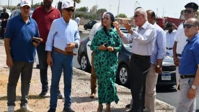 ميادين وزراعات نخيل وأعمال فنية ضمن استعدادات شرم الشيخ لاستضافة مؤتمر تغير المناخCOP 27