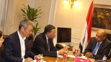 وزير قطاع الأعمال العام يبحث مع "هاندا" الصينية تعزيز التعاون وزيادة استثماراتها في مصر