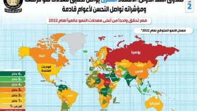 صندوق النقد الدولي: الاقتصاد المصري يواصل تحقيق معدلات نمو مرتفعة ومؤشراته تواصل التحسن لأعوام قادمة